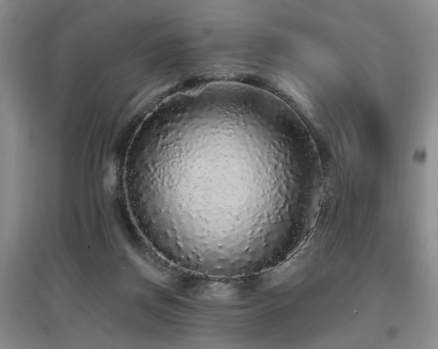 X0000097870166200803141306