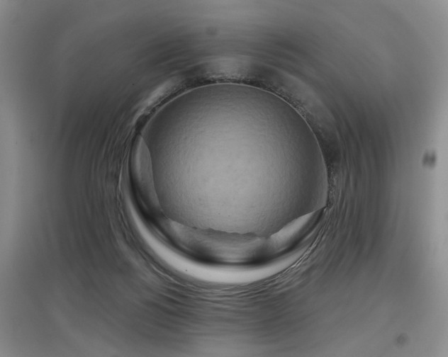X0000097870168200803141306