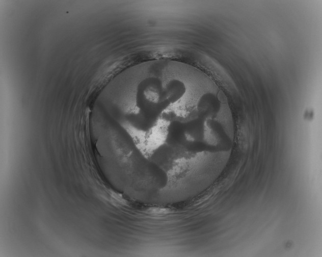X0000097870169200803141306