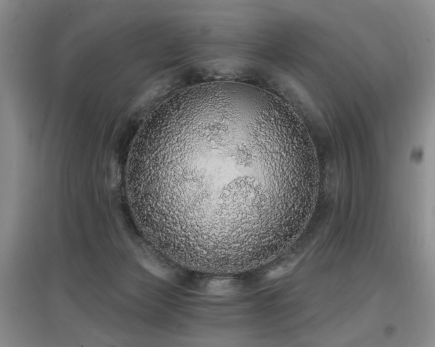 X0000097870173200803141306