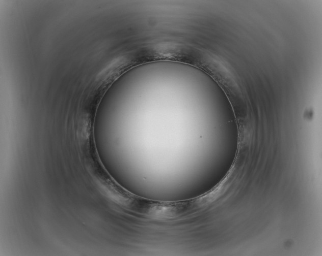 X0000097870174200803141306