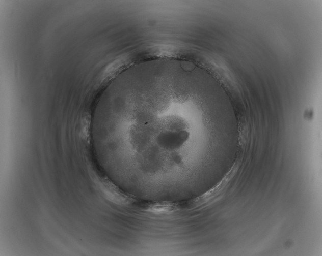 X0000097870175200803141306