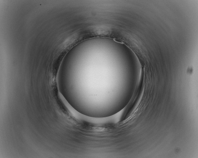 X0000097870176200803141306