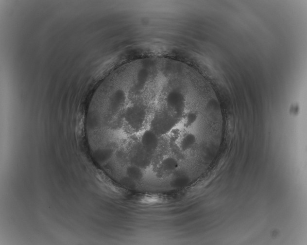 X0000097870177200803141306