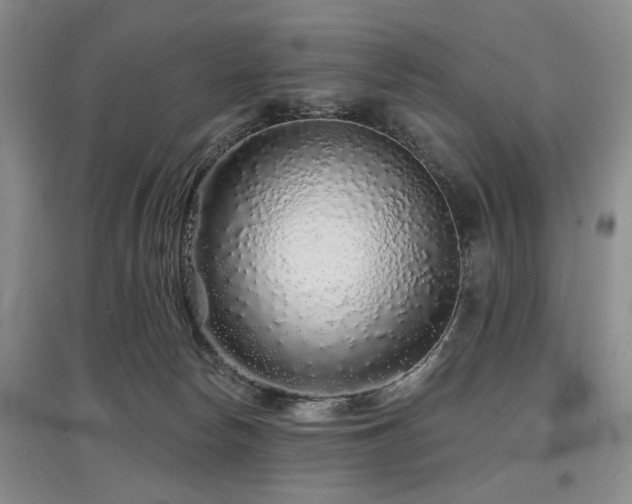 X0000097870178200803141306