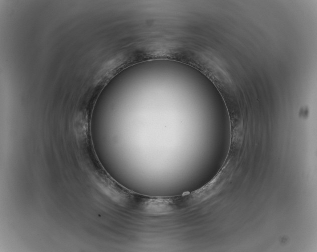X0000097870179200803141306