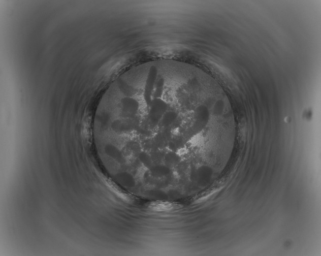 X0000097870181200803141306