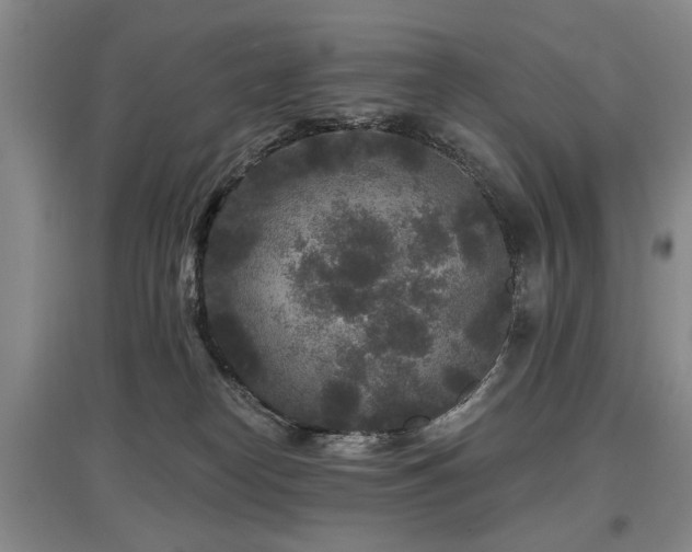 X0000097870182200803141306