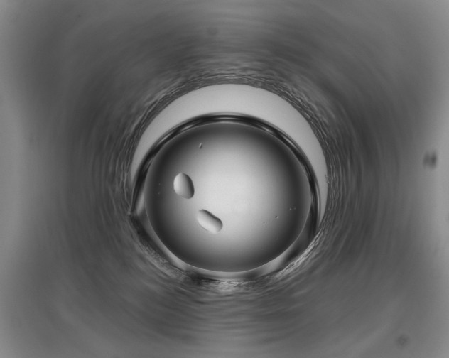 X0000097870184200803141306