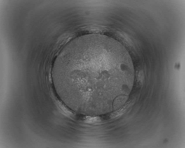 X0000097870185200803141306