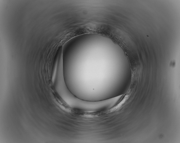 X0000097870186200803141306