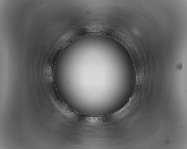 X0000097870187200803141306