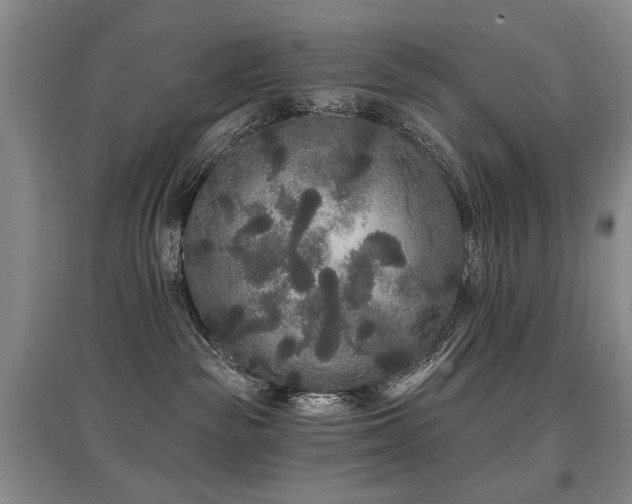 X0000097870189200803141306