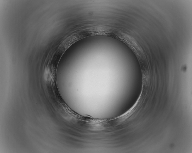 X0000097870190200803141306
