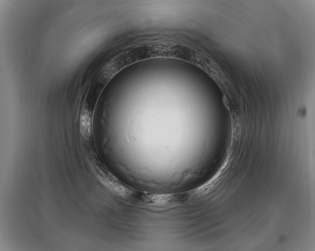 X0000097870191200803141306