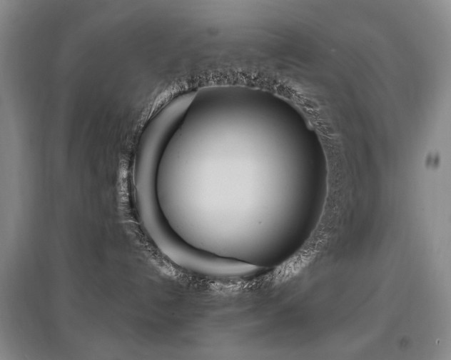 X0000097870192200803141306