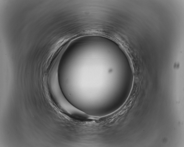 X0000097870193200803141305