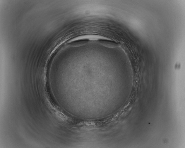 X0000097870194200803141305