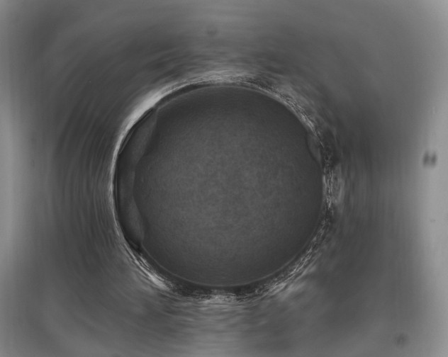 X0000097870196200803141305