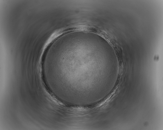 X0000097870198200803141305