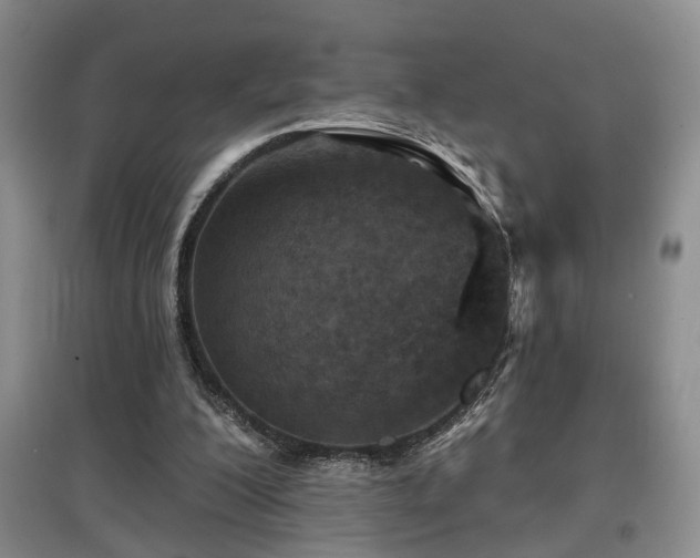 X0000097870200200803141305