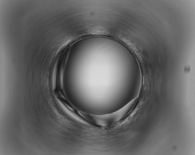 X0000097870201200803141305
