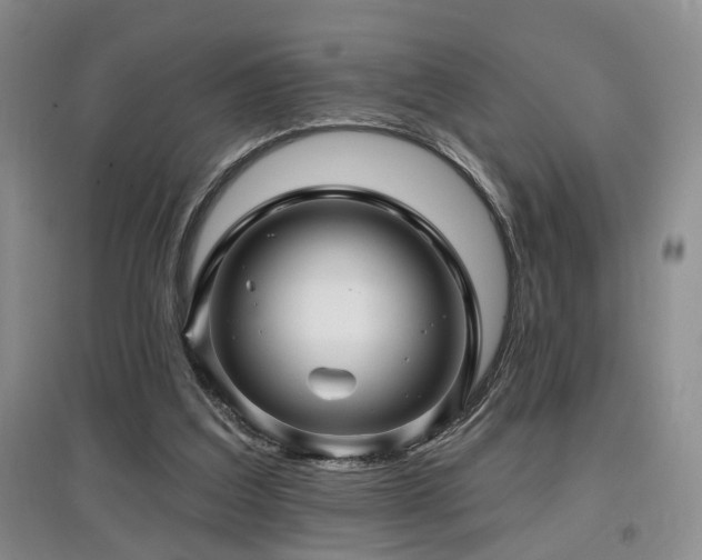 X0000097870203200803141305