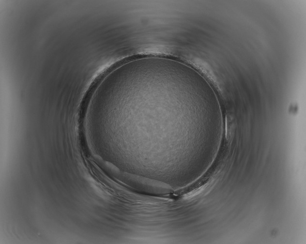 X0000097870204200803141305