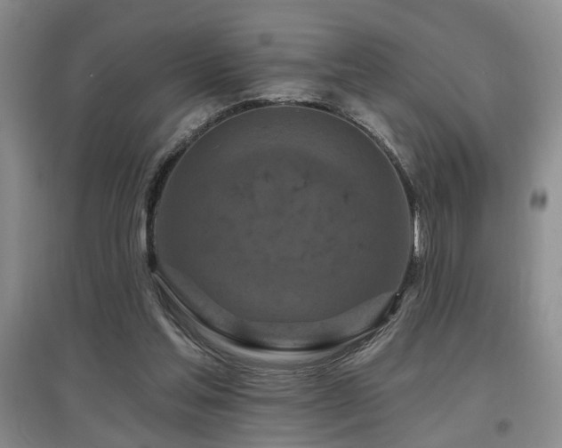 X0000097870205200803141305