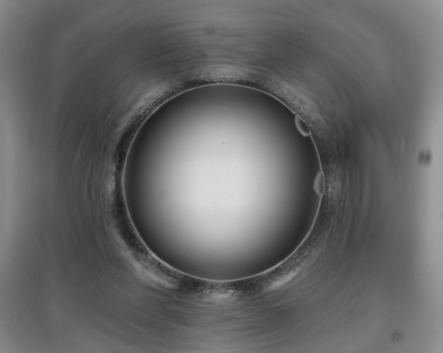 X0000097870206200803141305