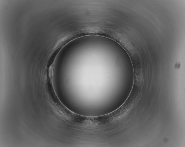X0000097870207200803141305
