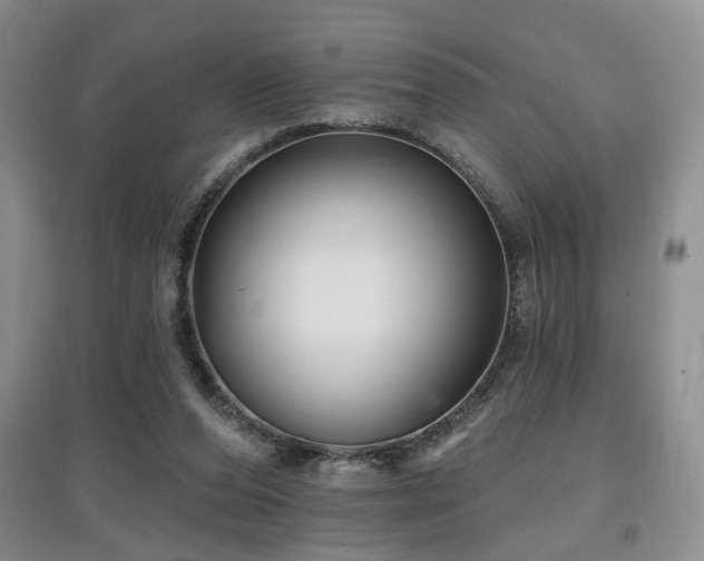 X0000097870208200803141305