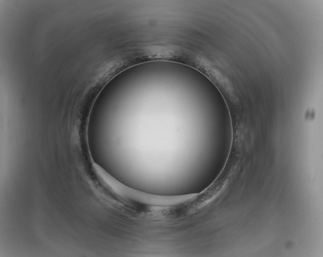 X0000097870209200803141305