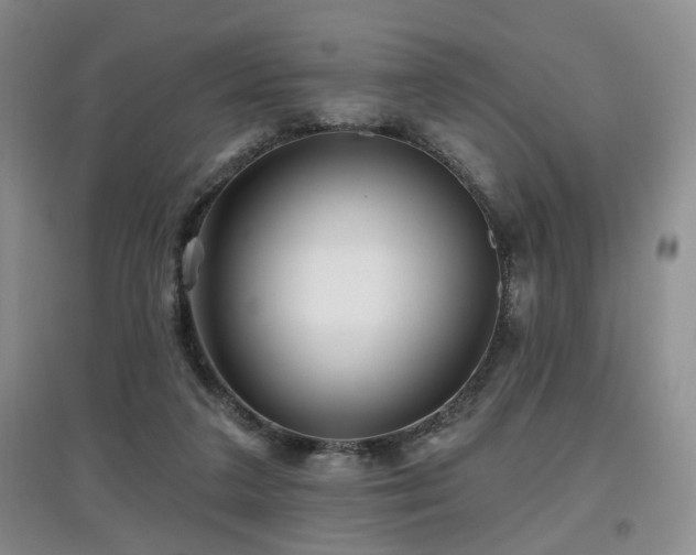X0000097870211200803141305