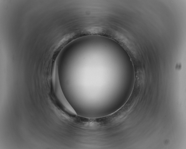 X0000097870212200803141305
