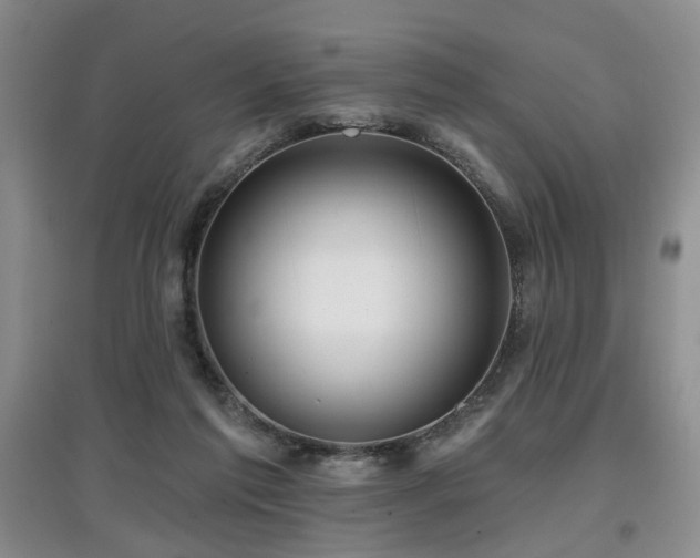 X0000097870213200803141305