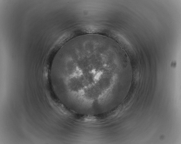 X0000097870214200803141305