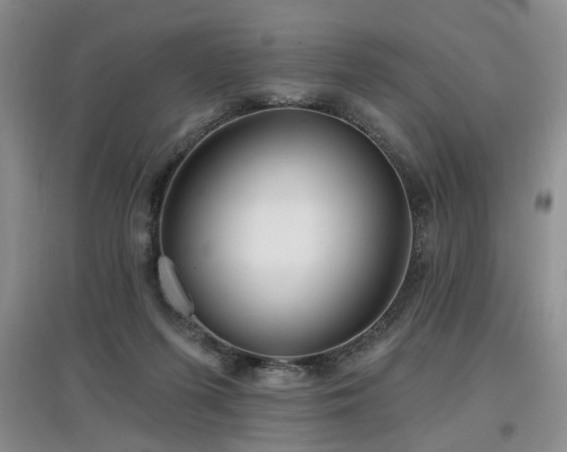 X0000097870215200803141305