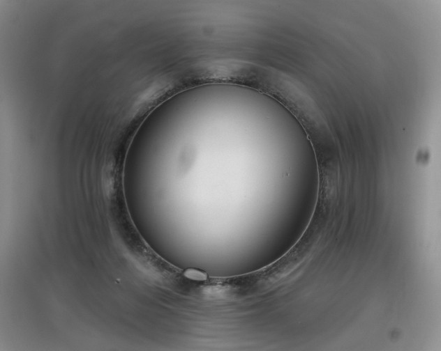 X0000097870216200803141305