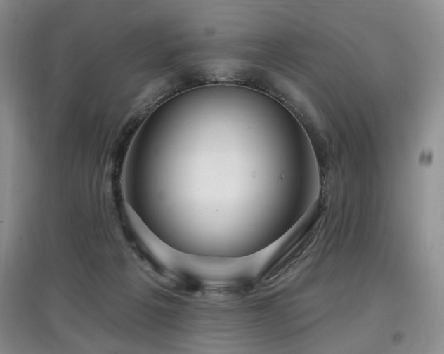 X0000097870217200803141305
