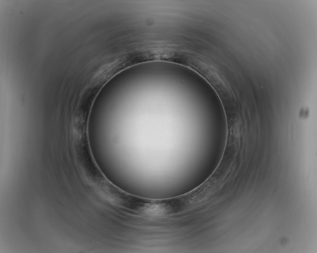 X0000097870218200803141305
