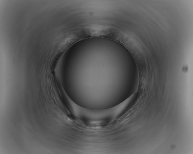 X0000097870219200803141305