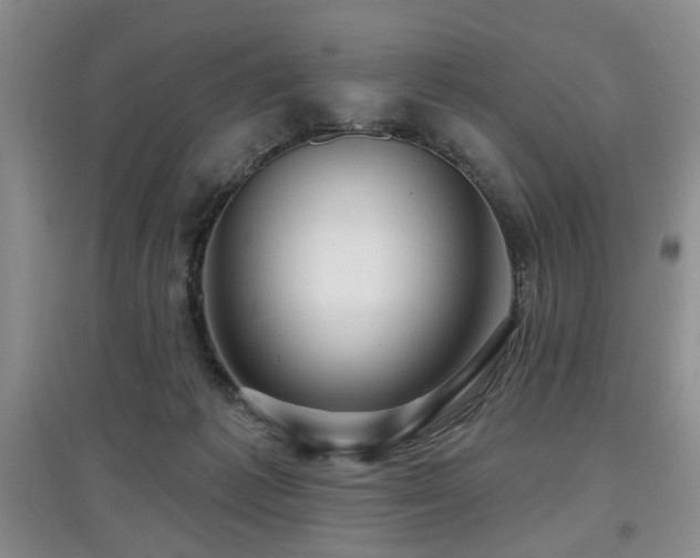 X0000097870221200803141305
