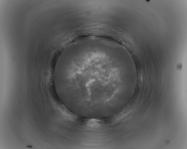 X0000097870222200803141305