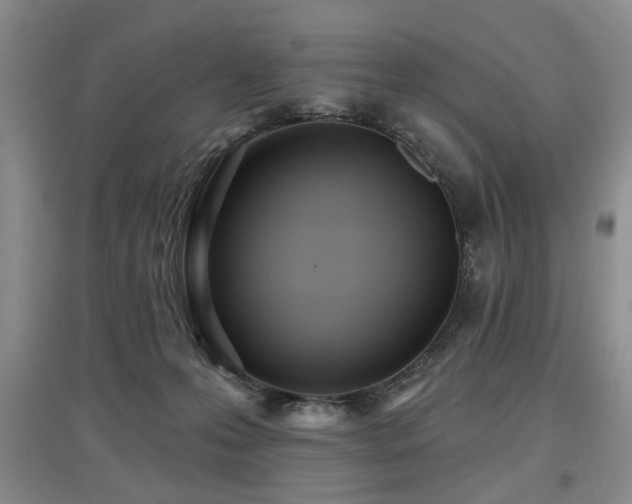X0000097870223200803141305