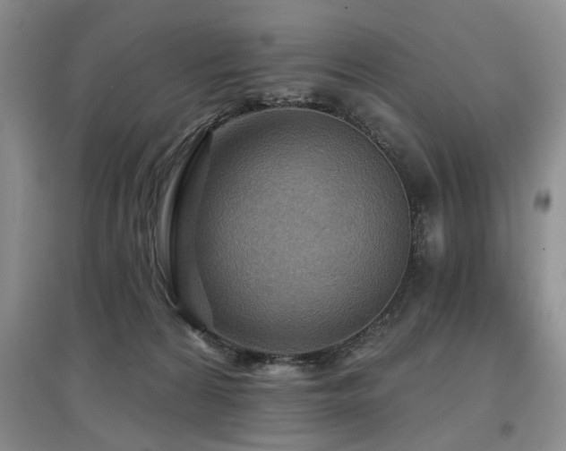 X0000097870224200803141305