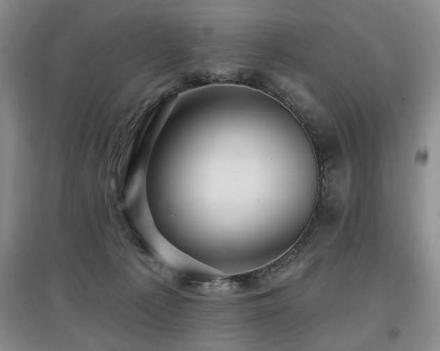 X0000097870225200803141305