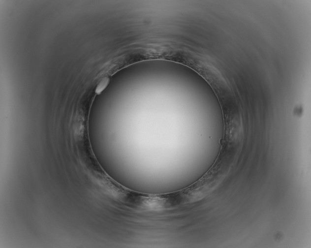 X0000097870226200803141305
