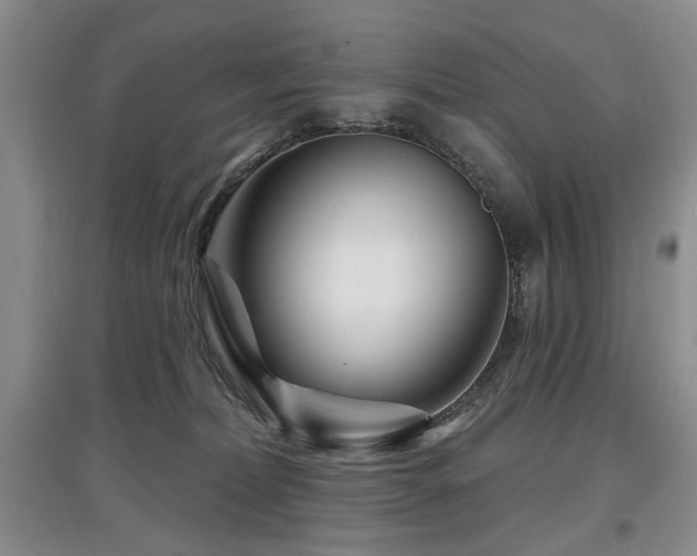 X0000097870228200803141305