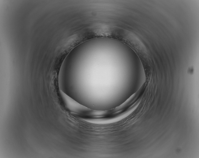X0000097870229200803141305